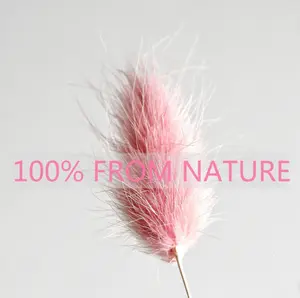 120 PCS Pink Dried Pampas Grass Decor, 17-inch Pompas Floral, Dry Flowers for Decoration, Pampas Grass in Bulk Tall, Pink Bunny Tails Dried Flowers for Boho Wedding Decor