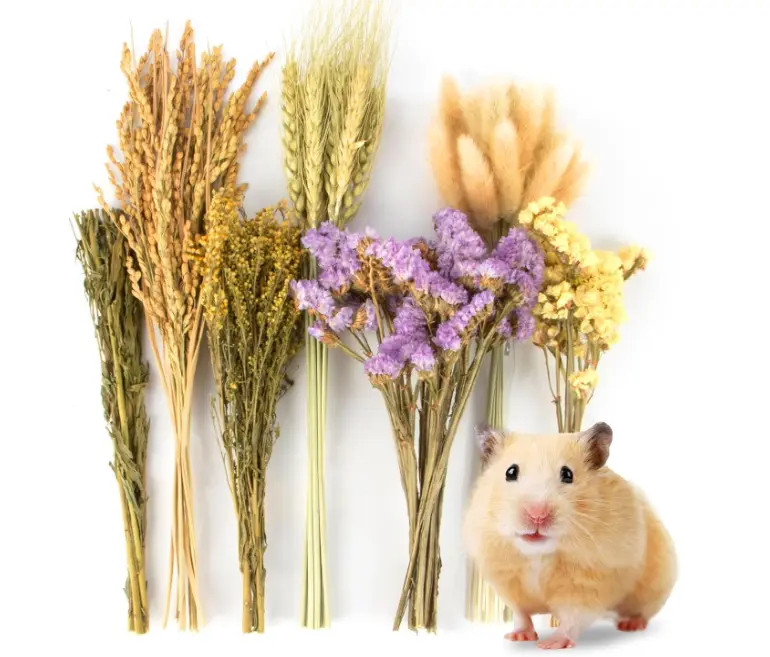 Sukh 60Pcs Nature Flower Herb Hamster Bedding - Cage Enclosure Habitat Decor Mate Small Animal Natural Ear of Grain Sprays for Syrian Dwarf Hamsters Gerbils Rabbit Other Pets