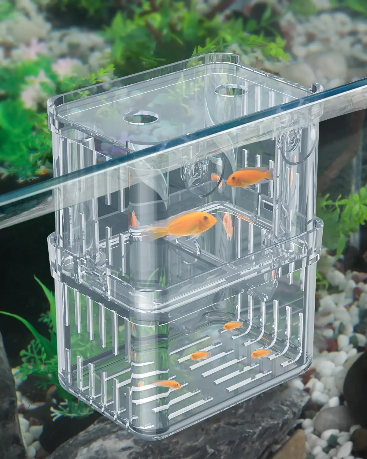 Acrylic Aquarium Fish Breeder Box - Isolation, Breeding & Hatching Incubator for Baby Guppies (5x3.78x2.61 in) - Pet Aquatic Tank Accessory Fishbowl Shrimp Tanks