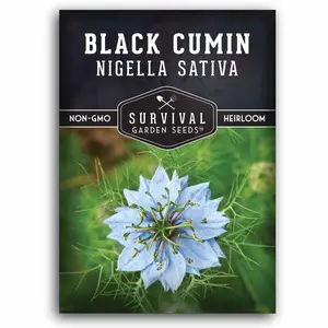 Black Cumin Seeds - Nigella Sativa