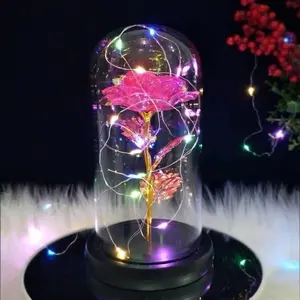 Eternal Rose LED Light, Transparent Glass Shade, Perfect Gift for Birthday, Anniversary, Valentine's Day, Wedding, Girlfriend, Wife, Women