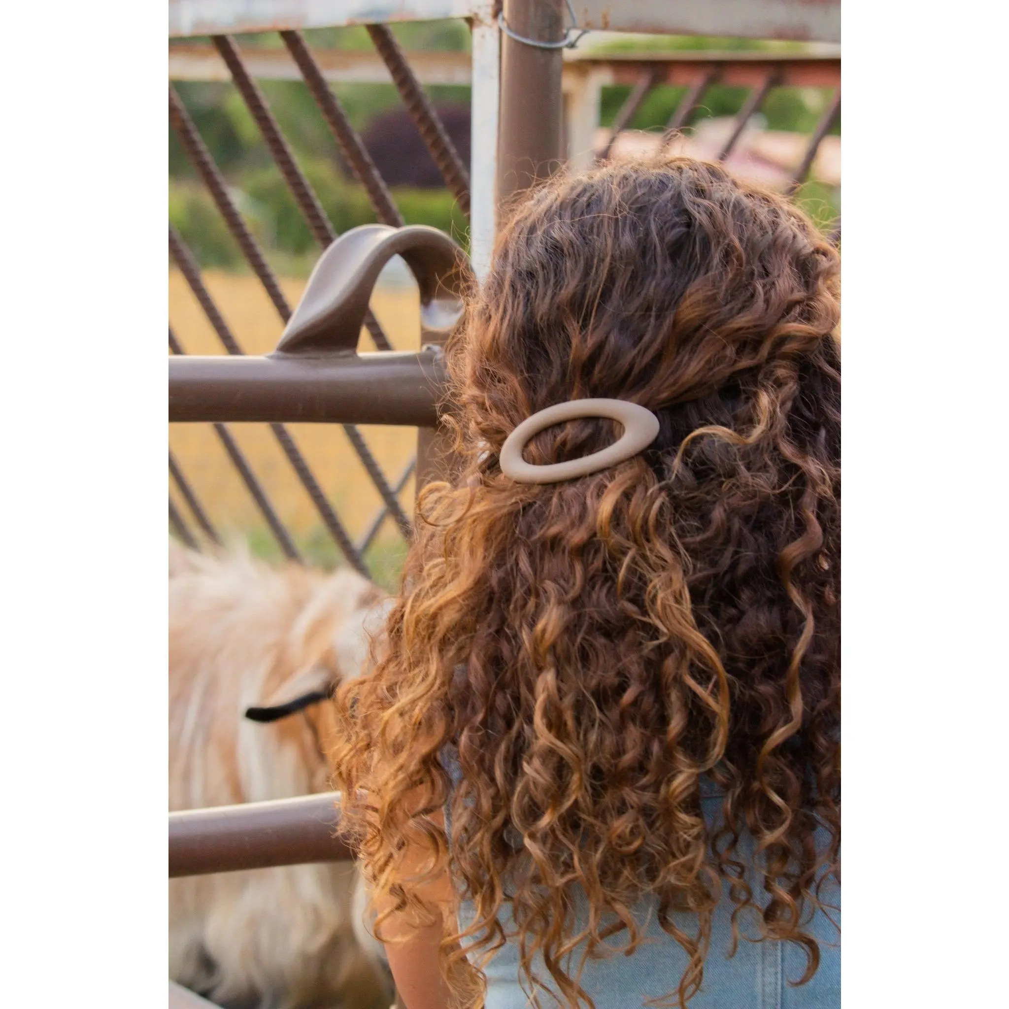 Oval Barrette