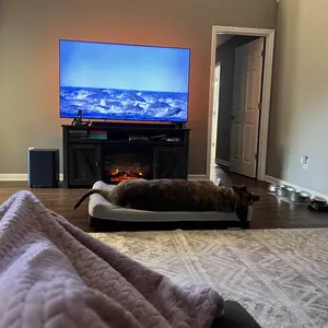 Product Review of Laifug Orthopedic Memory Foam Extra Large Dog Bed with double Pillow (50"x36"x10") Durable Water Proof Liner & Removable Washable Cover & Smart Design from 🖤**💋