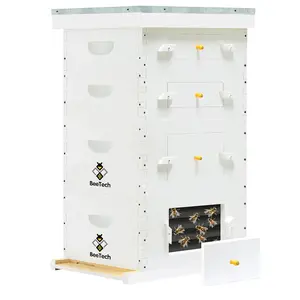 Newest Windows 8 Frame Bee Hive Hand Painted Includes Unassembled Beehive Box with Beehive Frames and Foundations (2 Deep & 1 Medium)