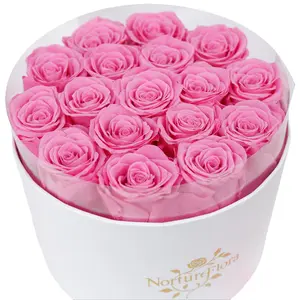 17 Preserved Pink Roses in Box, Real Forever Roses Gift for Women, Luxury Rose Gift Box for Birthday, Mother’s Day, Anniversary, Valentine’s Day, Christmas