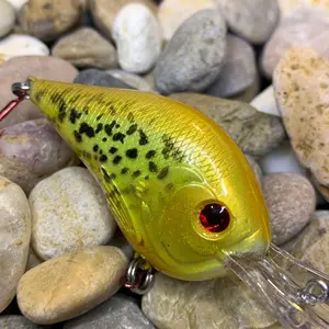 Mayhem Fishing DT10 Style Rattling Custom Paint Crankbait Flashy Orange Peel