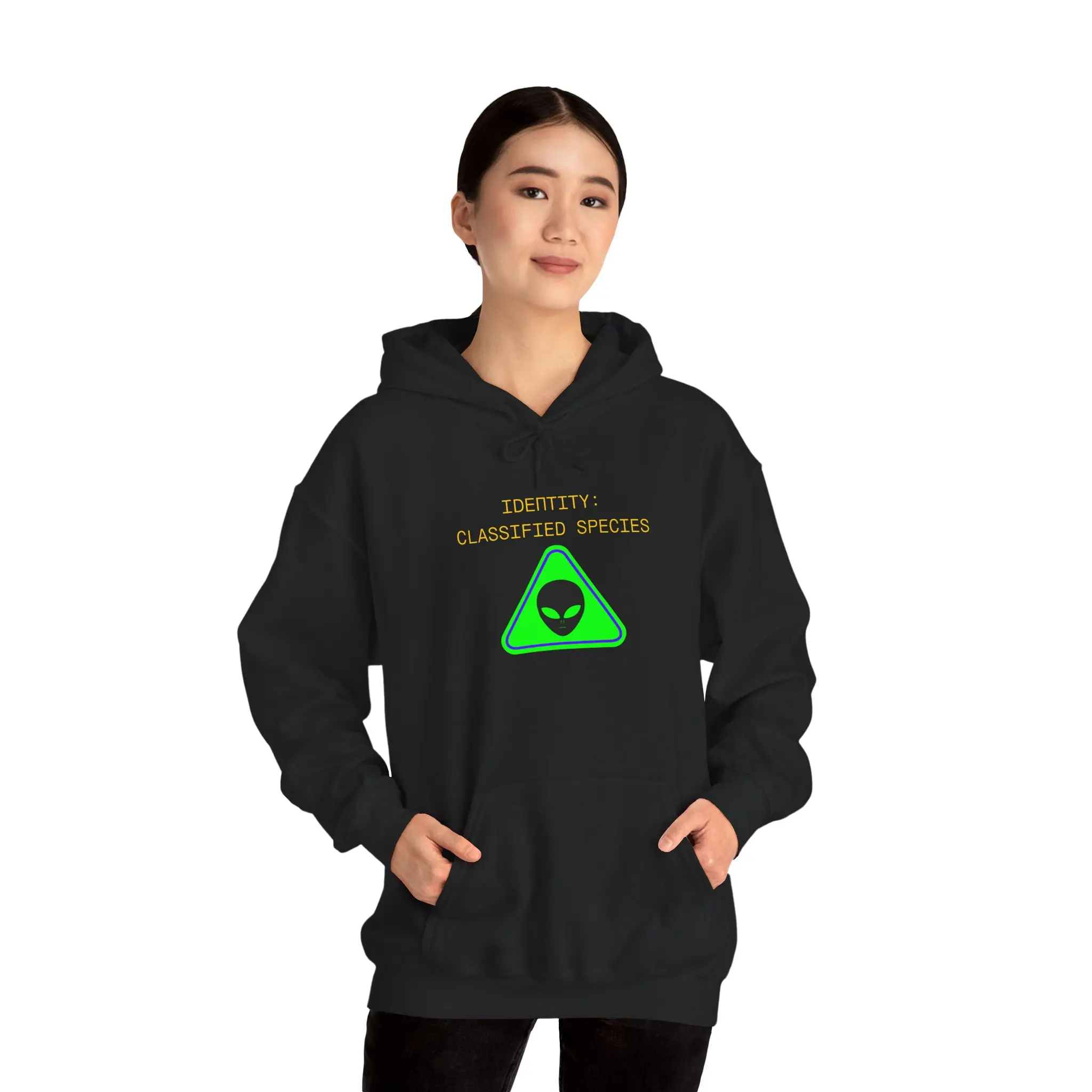 Alien Hooded Sweatshirt, UFO Apparel, Extraterrestrial Sweatshirt, Alien Gifts, Sci-Fi Gifts