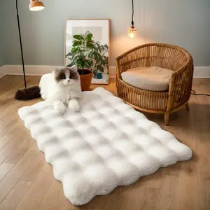 Solid Color Soft Floor Mat, 1 Count Modern Simple Plush Area Rug, Fluffy Modern Rug, Non-slip Indoor Mat for Living Room Bedroom Home Decor