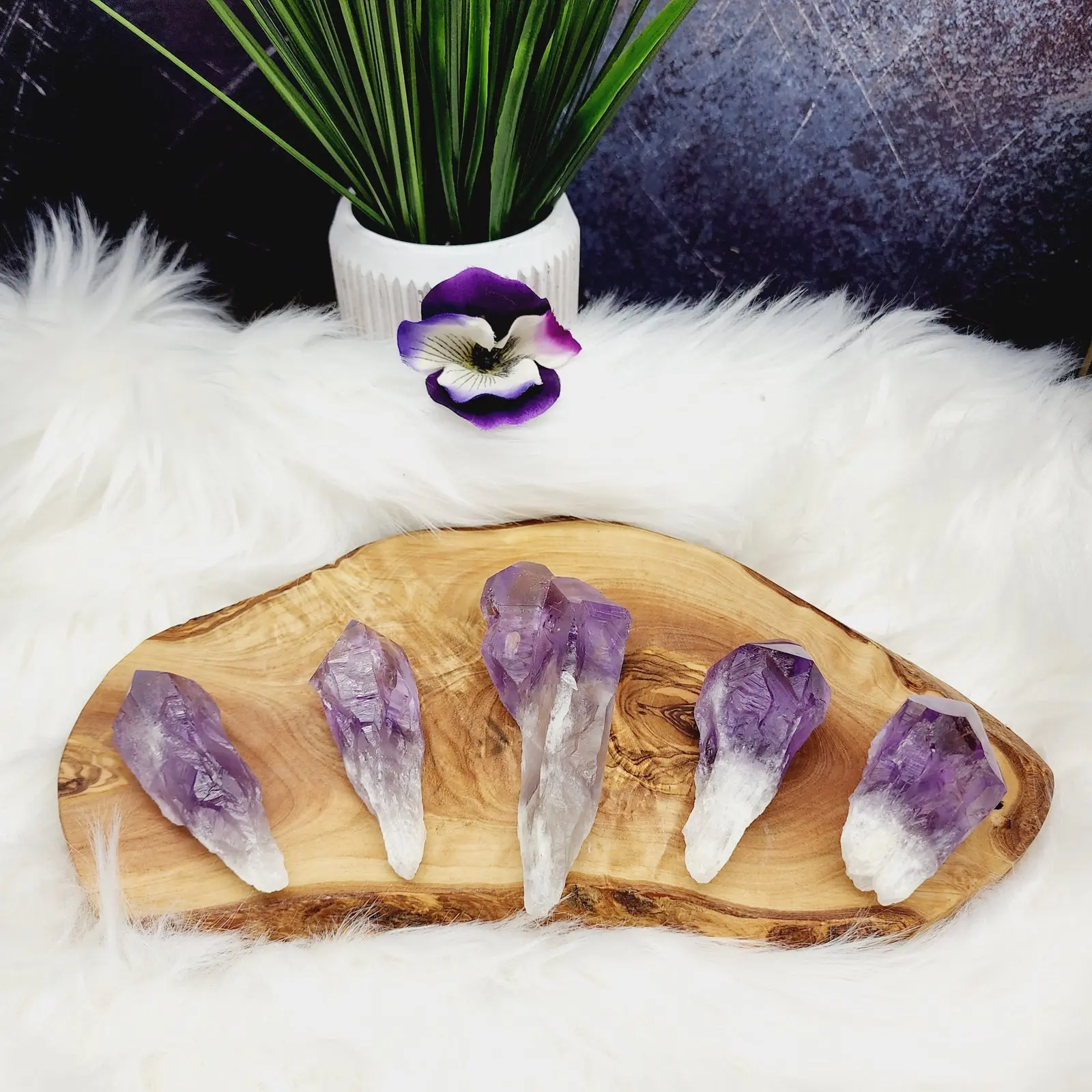 Elestial Bahia Amethyst Root Wands