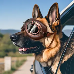 Vintage Pilot Dog Goggles, Windproof UV Protection Pet Sunglasses with Adjustable Strap, Motorcycle Car Riding Eye Protection Glasses for Medium Large Dogs