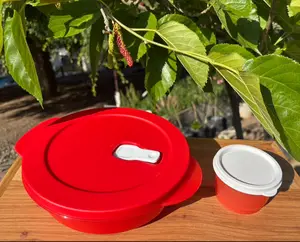 Micro flah rojo 1 litro y cuarteto 150 ml set