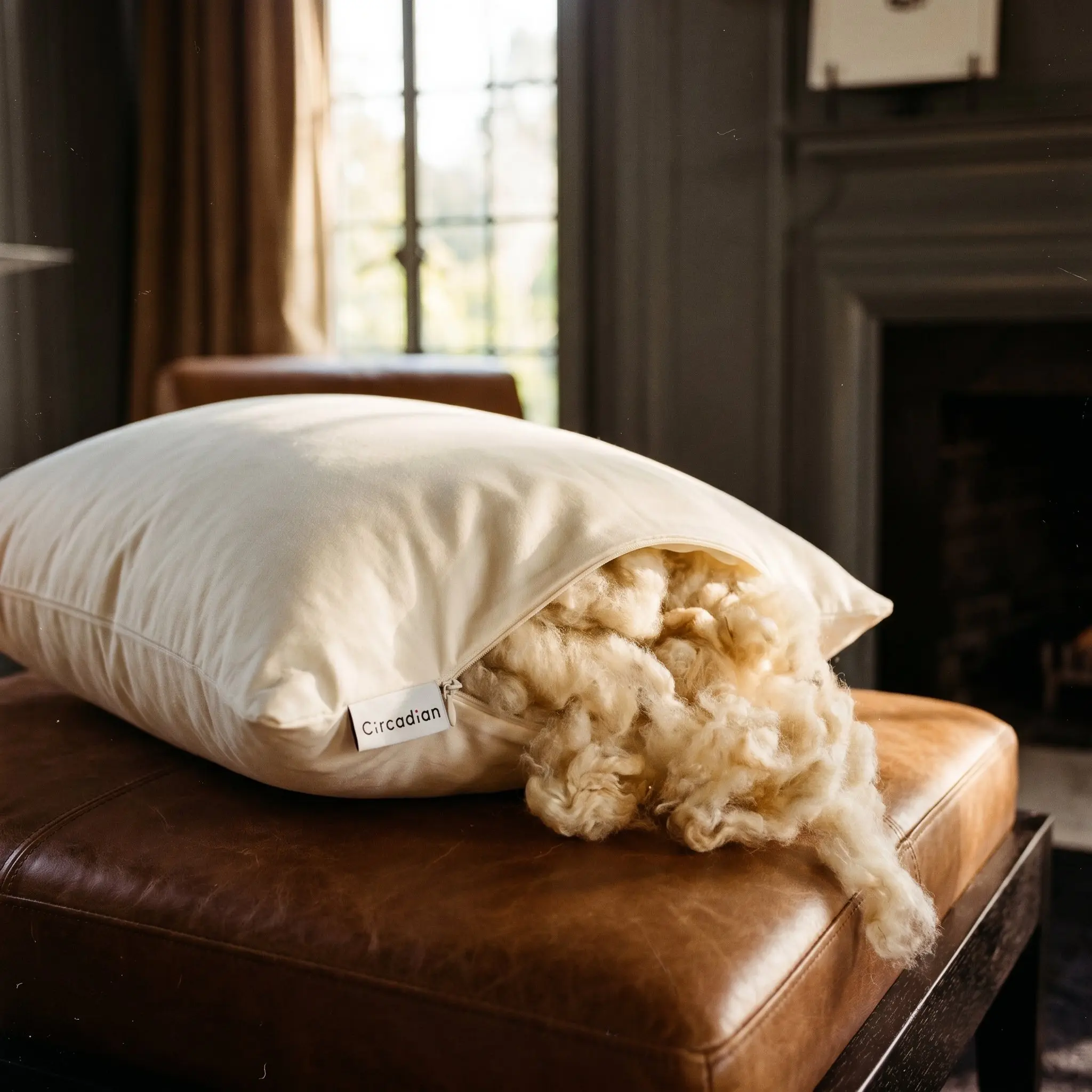 Organic Wool Pillow