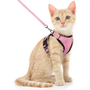 Dooradar Cat Harness and Leash Set, Escape Proof Safe Adjustable Kitten Vest Harnesses for Walking, Easy Control Soft Breathable Mesh Jacket with Reflective Strips for Cats, Pink, XS