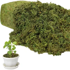 10.5 OZ Large Capacity Artificial Moss for Potted Plants,Natural Fake Moss Grass for Plants Indoor,Craft and Greenery Bulk for Hamsters(Fresh Green)