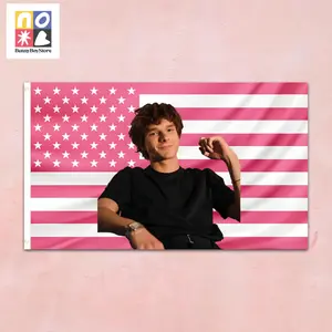 Mason Thames Pink Flag  Celebrity Tapestry, Aesthetic Wall Art for Teen Rooms, Fandom Dorm Decor, Soft Vibe American Flag Banner