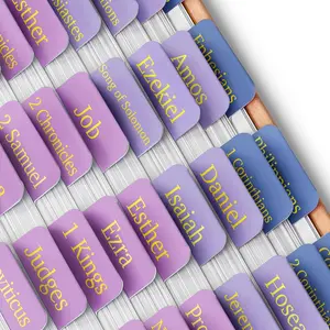 Mr. Pen- Bible Tabs, 75 Tabs, The Roseate Dusk, Gold Foil Embossed Lettering, Laminated Bible Tabs for Women and Men, Bible Tabs for Study Bible Index Tabs, Bible Book Tabs, Bible Labels Tabs