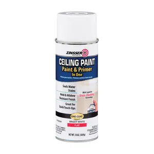 212 MAIN Zinsser Bright White Ceiling Paint & Primer in 1, 13oz, Indoor Car Paint Care Solution, Mildew Resist