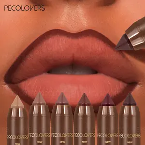 6pcs/set Waterproof Lipstick Pen Sexy Red Brown Matte Contour Tint Lipstick Lasting Smooth Lipliner Pen Lips Makeup Cosmetic Lip Liner Kit