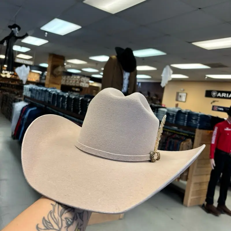 Men western hat