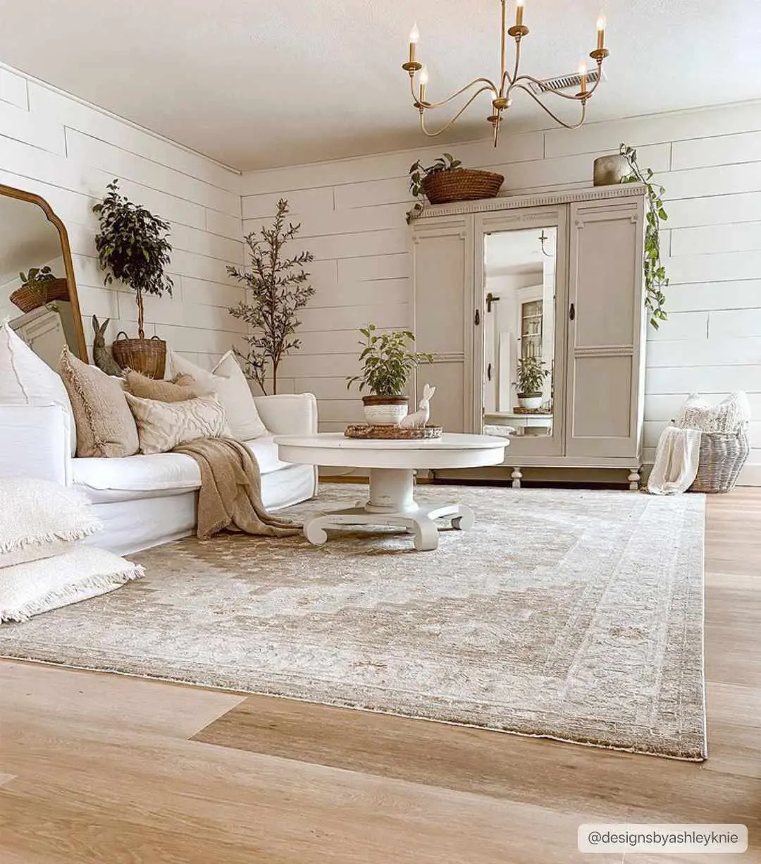 Canadensis Traditional Turkish Area Rug - Home Decor Rugs, Living Room Mat, Rectangle Shape, Clearance