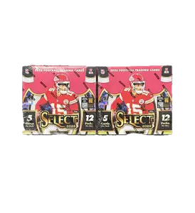 Break #40 - (2) 2025 PANINI SELECT HOBBY BOX BREAK **CHASE COLOR WHEELS, ALTER EGO'S, ZEBRAS, & BLACK PRIZM 1/1'S***