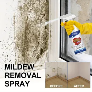Mildew Stain Remover Mold Stain Removal Spray Cleaning Household Outdoors
