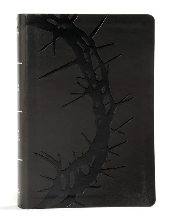 KJV Large Print Personal Size Reference Bible, Charcoal Leathertouch Indexed, Red Letter, Pure Cambridge Text, Type Imitation Leather – Large Print. H