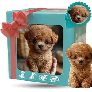 Realistic Robot Dog Plush Toy, Walks Barks Tail Wags, Interactive Puppy for Kids All Ages, Requires Aa Batteries, Perfect Christmas Gift