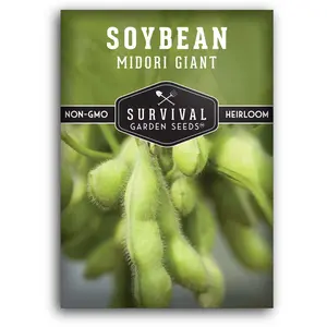 Midori Giant Soybean Seeds