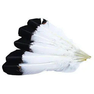 99FR101-5: Tom Turkey "Eagle" Black Tipped 10-12" - 5PC