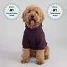 Comfrt Paws | Minimalist Hoodie | Soft Pet Matching Hoodie Puppy