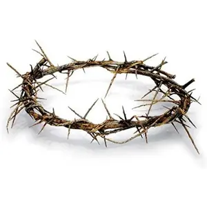 Authentic Biblical Lifesize 8" Crown of Thorns w/ Certificate Authentic Biblical Lifesize 8" Crown of Thorns w/ Certificate
