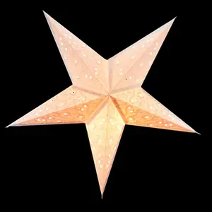 24" Silver Bramble Glitter Paper Star Lantern, Hanging