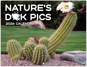 Gag Gifts - Funny 2026 Wall Calendar, 2026 Calendar with Thick Paper, Jan. 2026 - Dec. 2026, 11" x 8.5", Best for White Elephant Gag Gifts