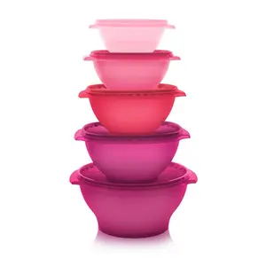 Servalier 5 bowl set