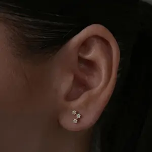 EVRY JEWELS Gold or Silver Plated Women's Hypoallergenic Constellation Earrings
