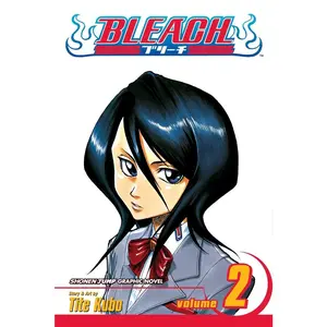 USED Book - Bleach, Vol. 2: Goodbye Parakeet, Good Night My Sister by Kubo, Tite (Paperback) - english