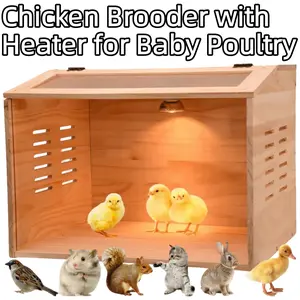 Chicken Brooder Box with Heater for Baby Poultry Safe Warm Environment for Hatching Chicks & Small Pets Versatile Use