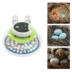 CNCEST Quail Egg Incubator for Hatching 60 Eggs with Digital Temperature & Humidity Control ABS Material Stable Environment for Small Poultry Enthusiasts
