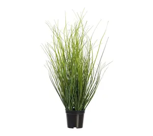 Vickerman 24" Green Tufted Hairgrass Potted UV