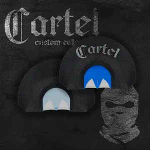 Blue Shards Blue Shards