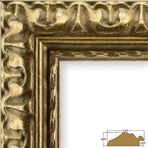 Craig Frames Bravada, 20x30 inch Picture Frame, Antique Bronze Ornate