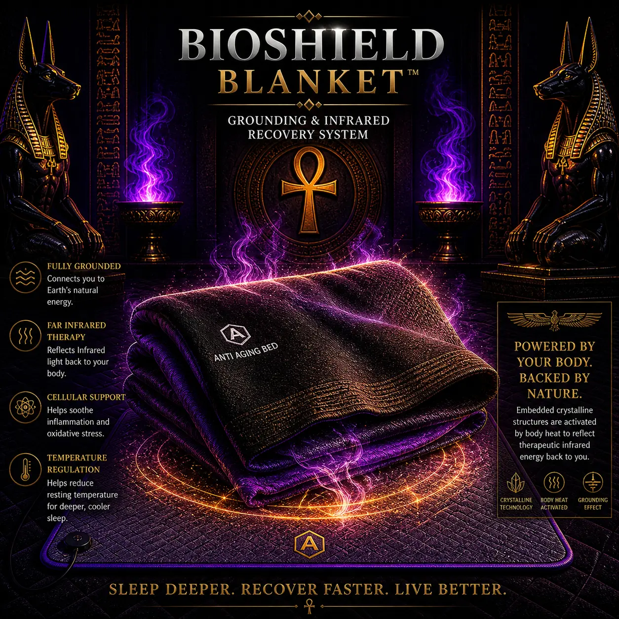🛏️⚡ BioShield Blanket™ – Grounding & Infrared Recovery System 𓂀
