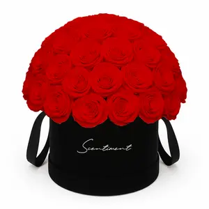 Suede Preserved Roses in Black Box – Luxury Rose Arrangement