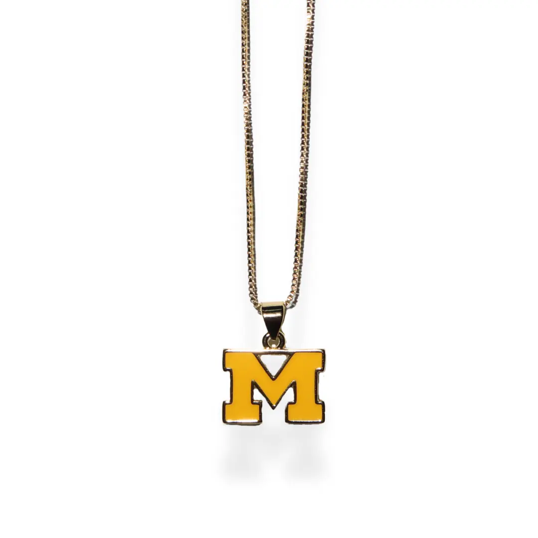 Go Wolverines!