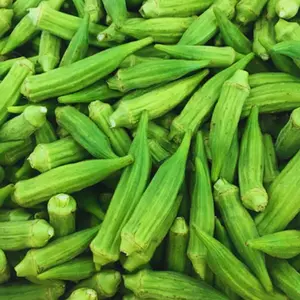 Heirloom Clemson Spineless Okra Seeds - Organic and Regenerative Gardening Seeds