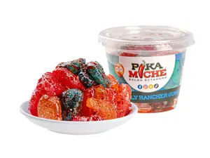 Chamoy Jolly Rancher Gummies - Pika Miche (Fruity & Tangy)