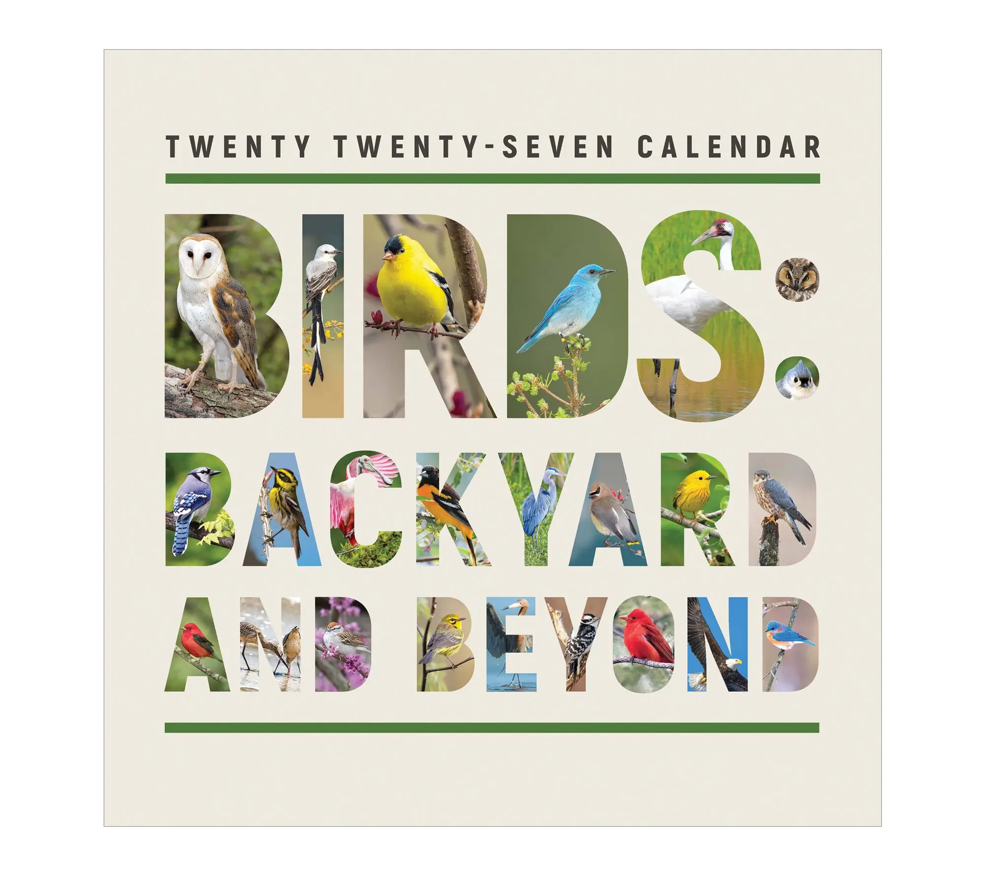 2027 Birds Backyard and Beyond Wall Calendar