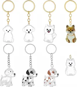 Dog Hair Keepsake Keychain Charm - Transparent Pet Fur Memorial Storage Box, Car Interior Decoration Accessory
