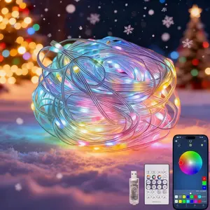 66ft 200led Christmas Decorative Lights Indoor Outdoor RGB, APP Control Waterproof Smart Color Changing Fairy String Light with Remote, Party Light, Led Lighted